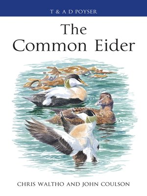 cover image of The Common Eider